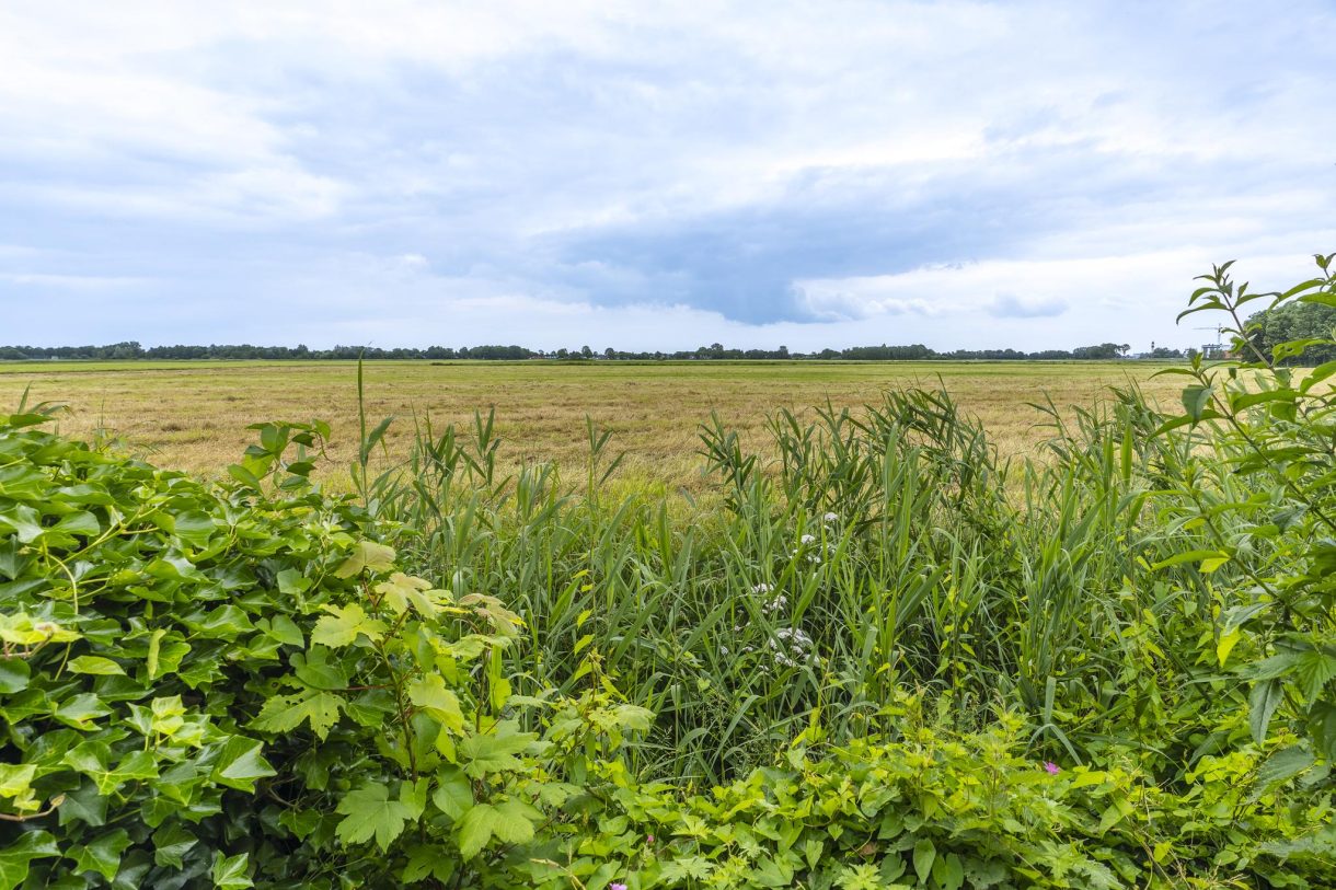 Te koop: Foto Woonhuis aan de Vonderpad 28 in Westerbroek