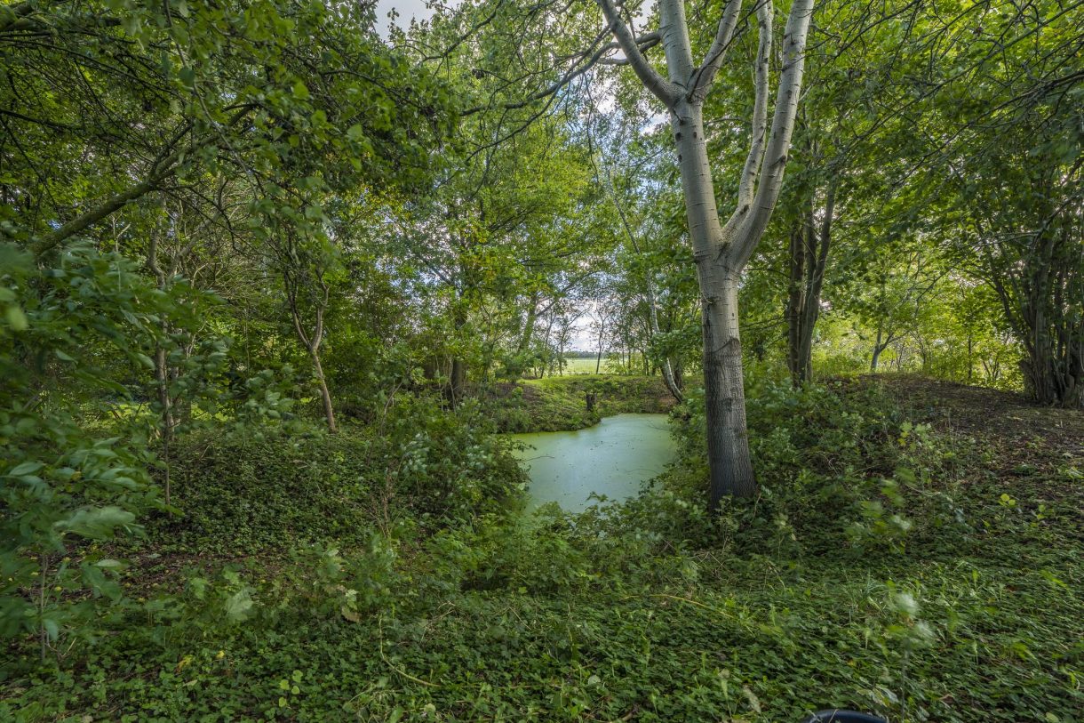 Te koop: Foto Woonhuis aan de Spitsbergen 3 in Sappemeer