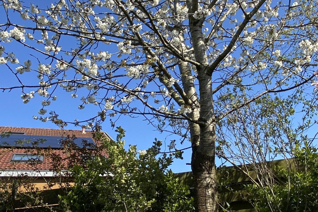 Te koop: Foto Woonhuis aan de Meulenhörn 38 in Zuidbroek